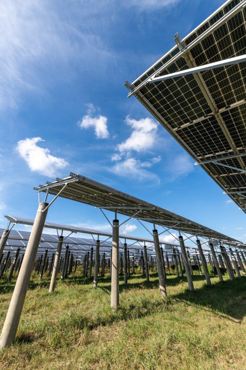 pannelli fotovoltaici Ticino crea la tua energia con il fotovoltaico Volta Sa