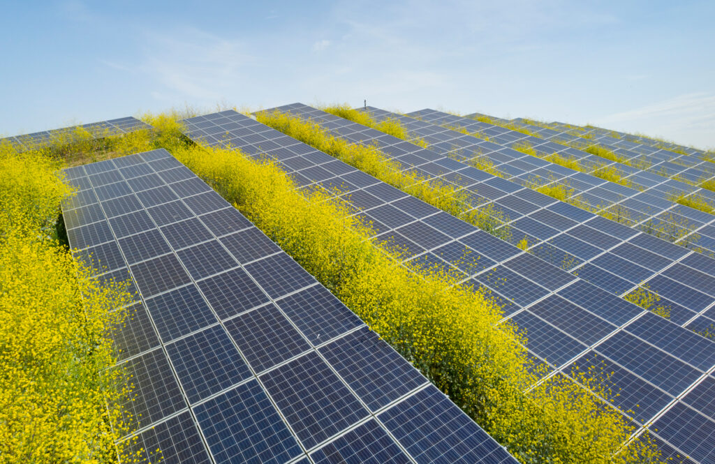 Agrivoltaico in Ticino con VOLTA SA